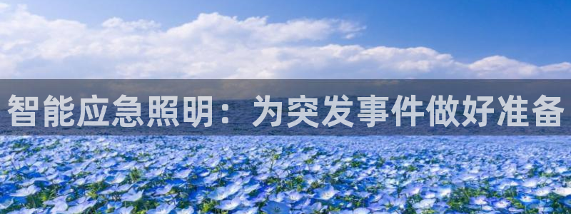 云顶手游国际