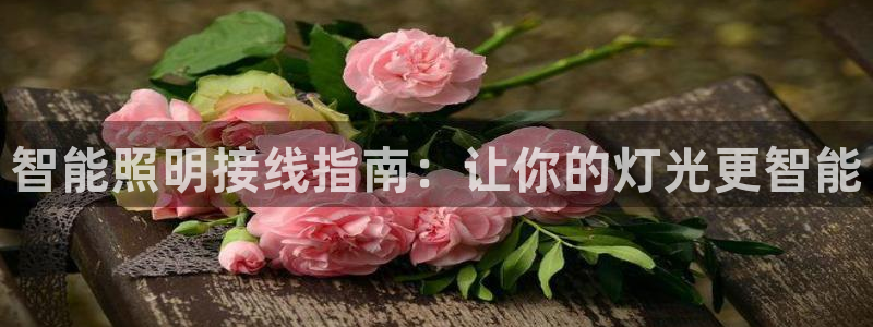 云顶国际8588yd