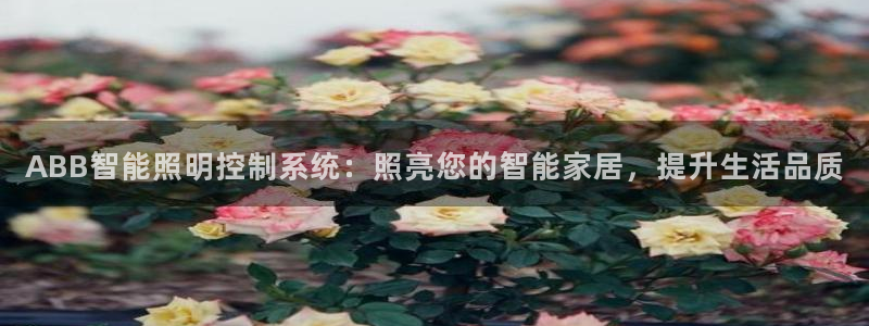 云顶国际足球app下载安装