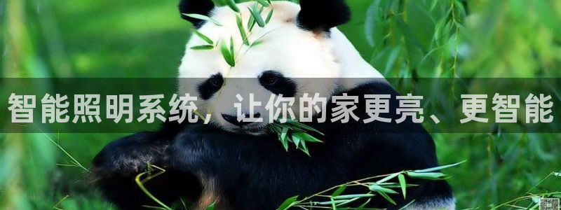 yd云顶集团app下载