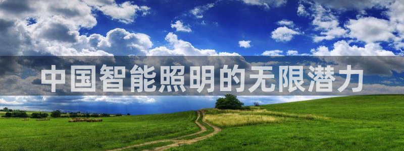 云顶yd官网2021