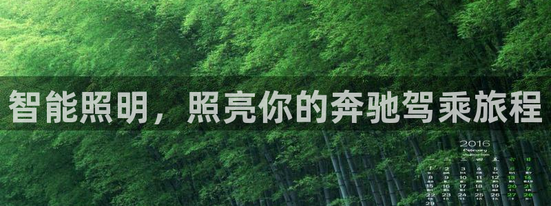云顶国际服在哪下载