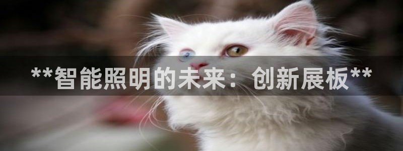 9559云顶国际