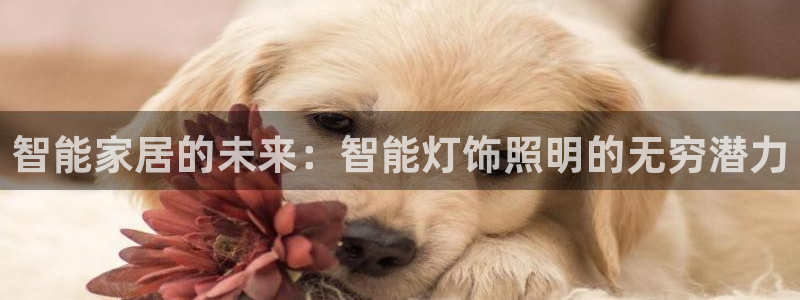 云顶国际俱乐部电话