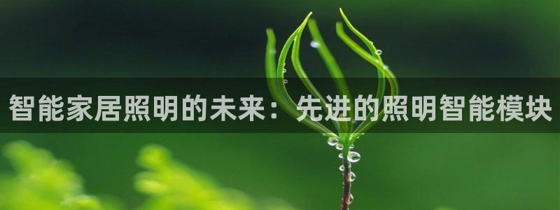 云顶国际网站是多少
