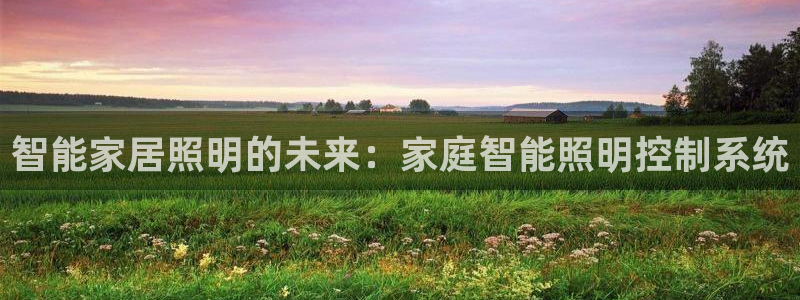云顶国际服在哪下载