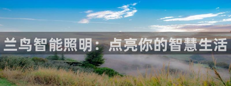 云顶国际服s9