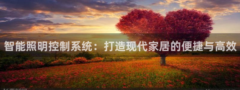 云顶国际25万没法提现