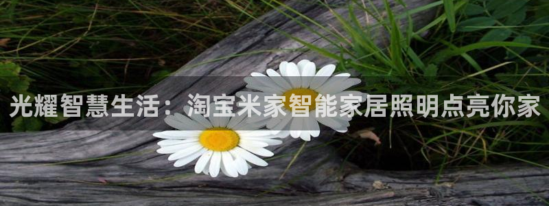 云顶国际培训中心怎么样