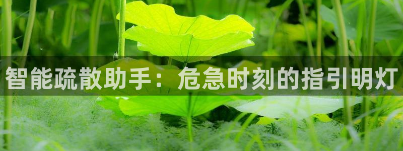 云顶国际宴会中心通达店