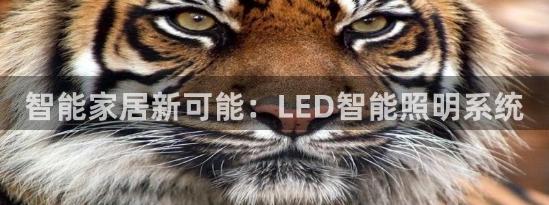 云顶国际app手机版