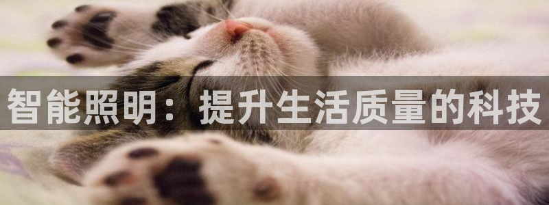 云顶国际酒店几星级最高