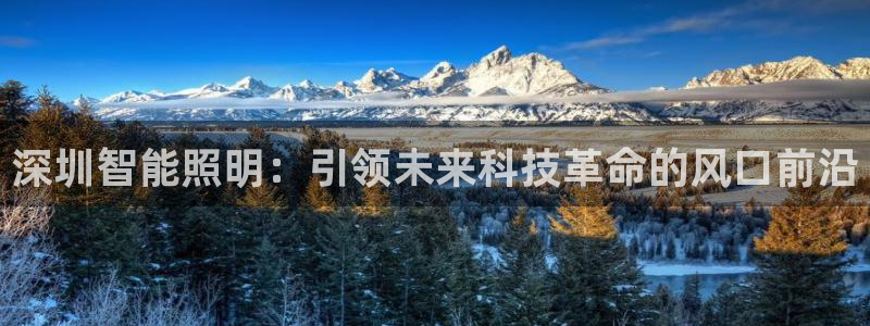 云顶国际服s11什么时候上线