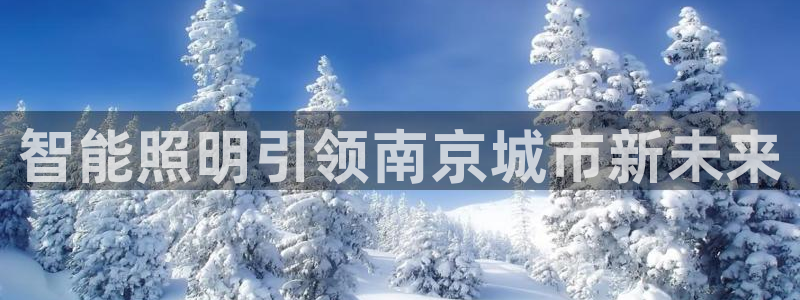 云顶国际投资有限公司怎么样