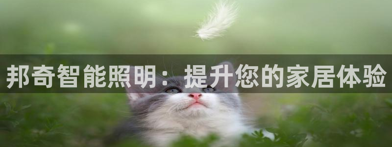 云顶集团游戏网站