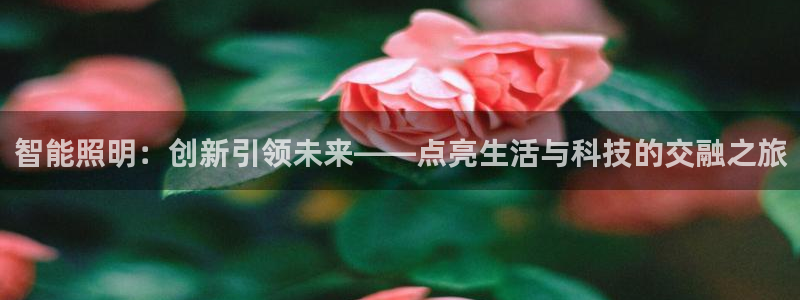 云顶国际在线