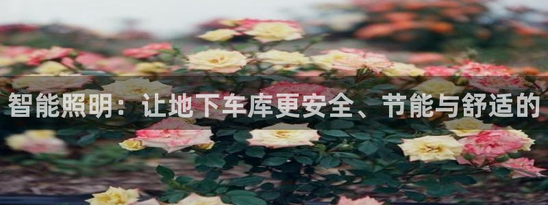 云顶国际集团游戏