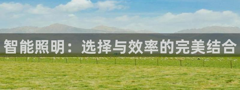 云顶集团简介概况