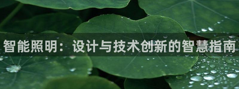 云顶国际游戏平台排行榜