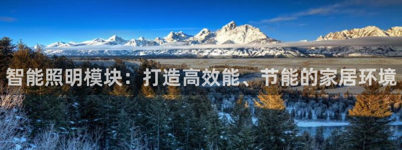 云顶国际晟荣协会高峰