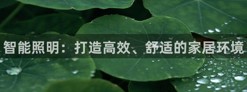 云顶国际yd222