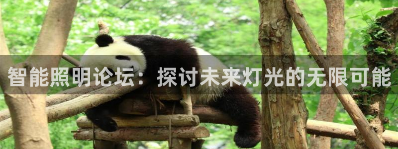 云顶控股集团有限公司