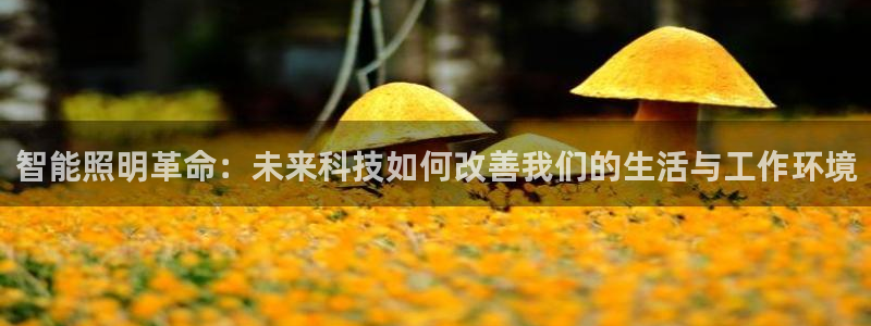 云顶集团 林国泰：智能照明革命：未来科技