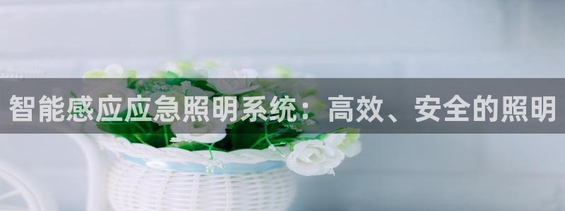 云顶国际app下载安装