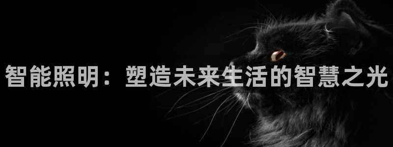 云顶国际公馆户型图