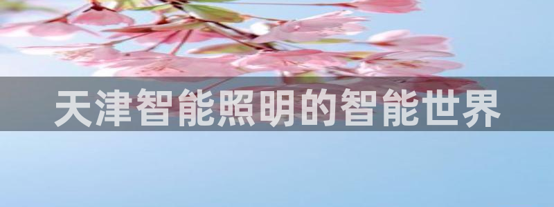 云顶国际app手机版下载安装